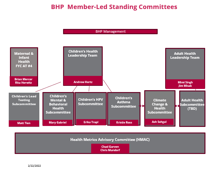 Member Committees & Leadership Teams 2022