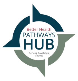 bhp_hub_logo_final_selection_120219-removebg-preview